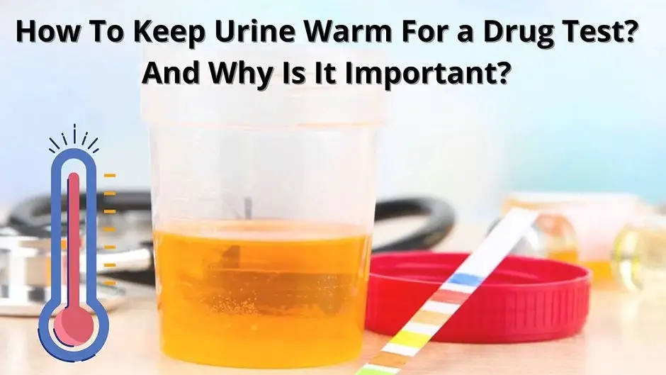 How to Keep Urine Warm for a Drug Test?