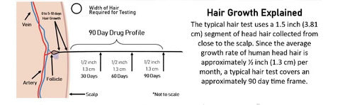 Hair drug test detection